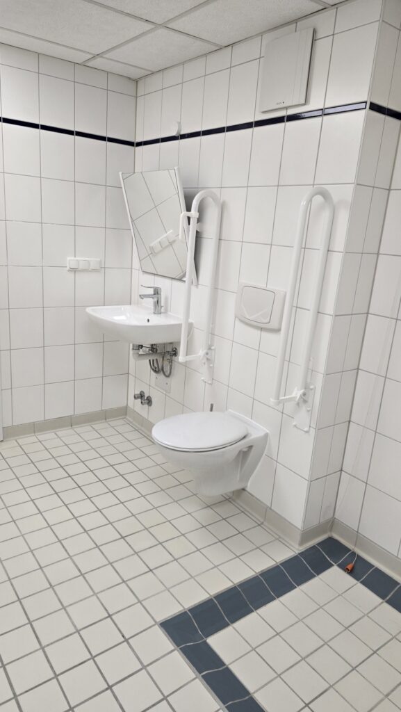 Accessible bathroom with a wall-mounted toilet, white sink, and vertical grab bars against tiled walls and a mirror nearby.